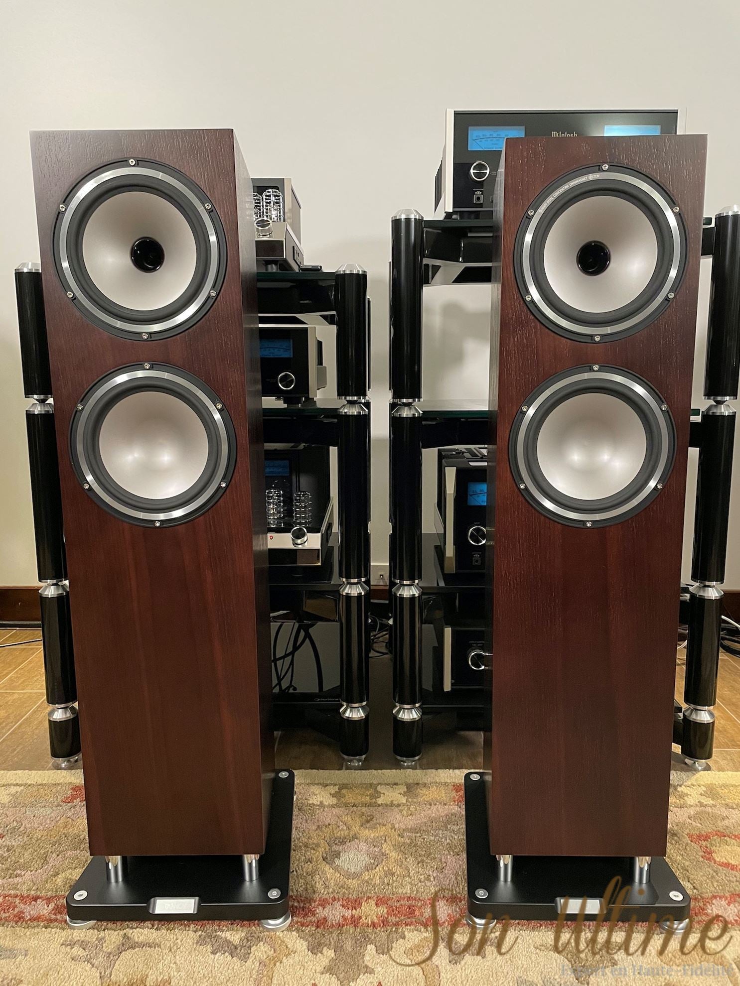 Revolution XT 8F Noyer (Occasion Vendue)