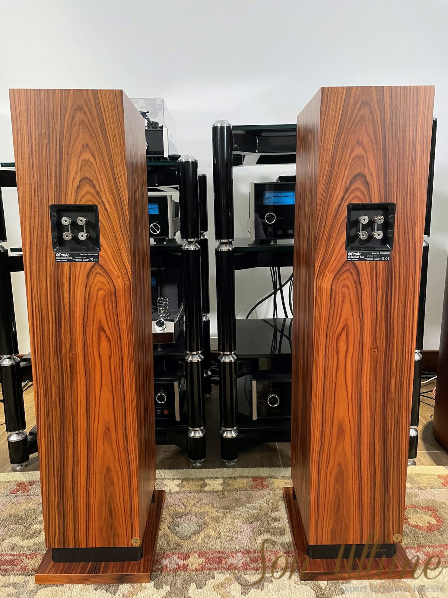 Response D30R Rosewood (Occasion Vendue)