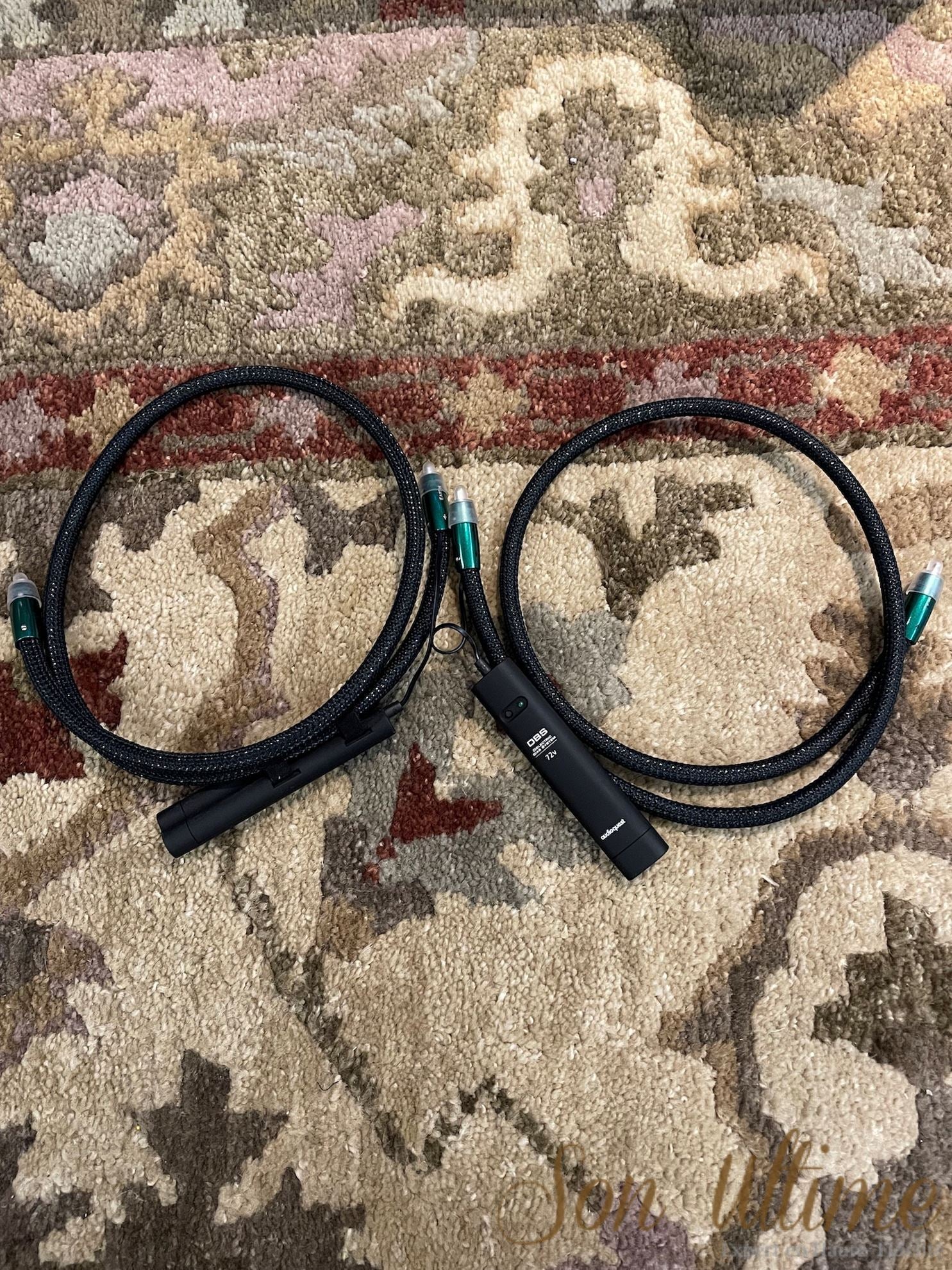 Earth RCA 1M (Used Sold)