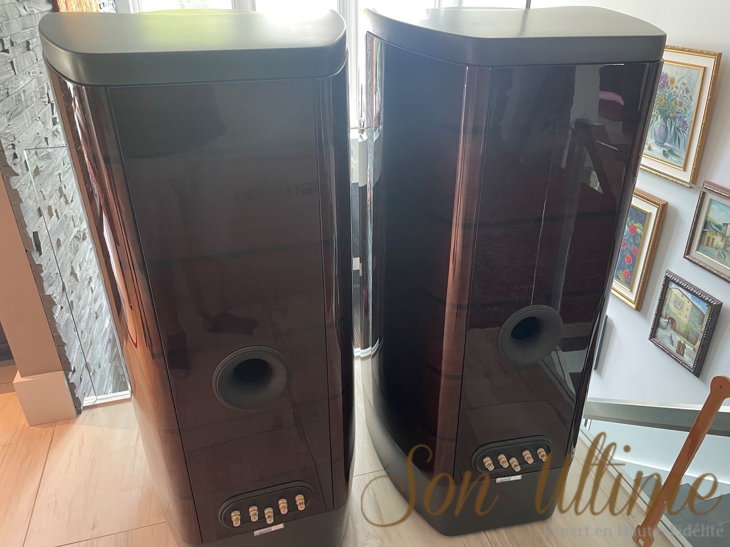 Kingdom Royal (Used Sold)
