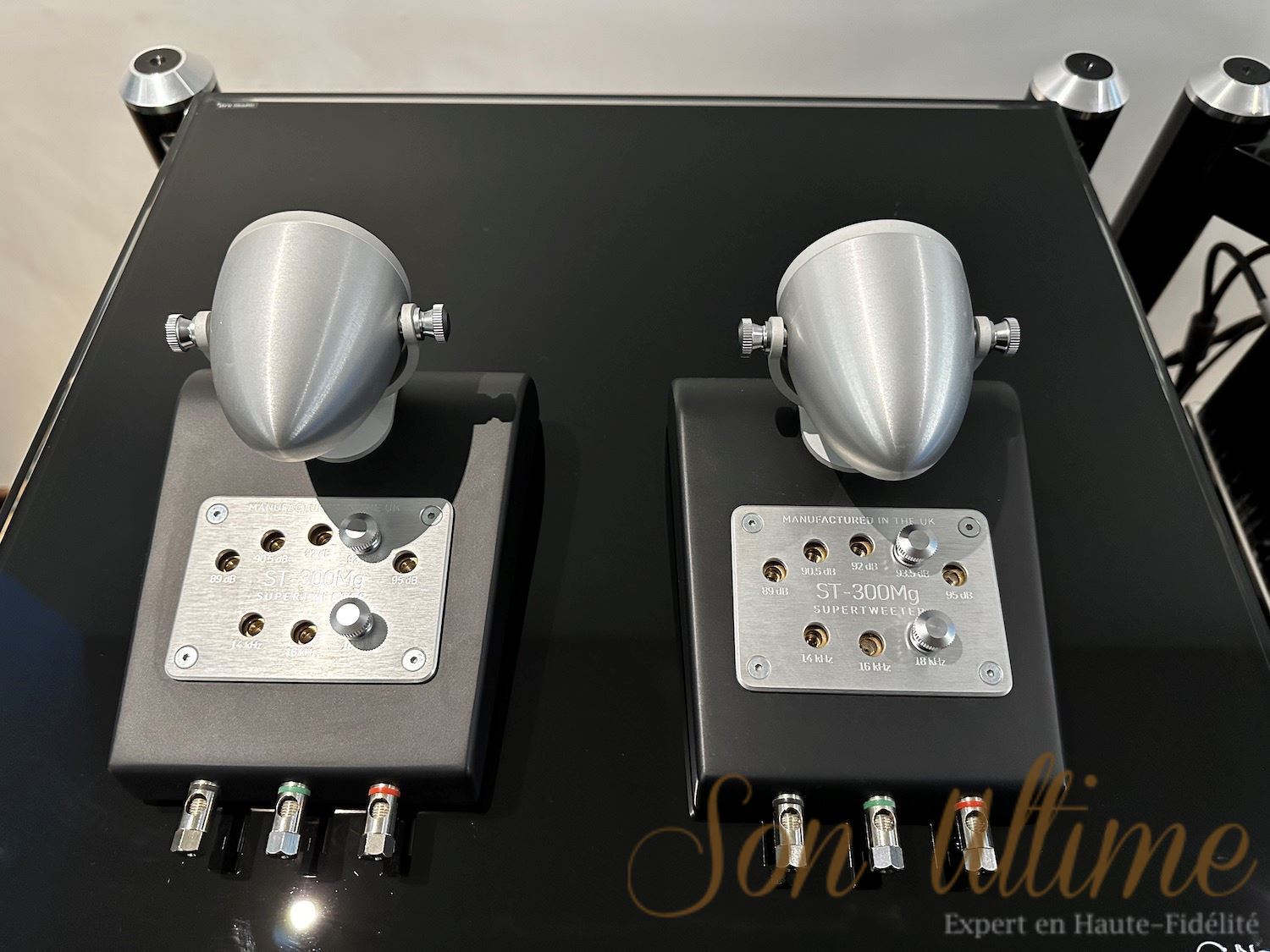 Supertweeter ST300MG-SI (Used Sold)