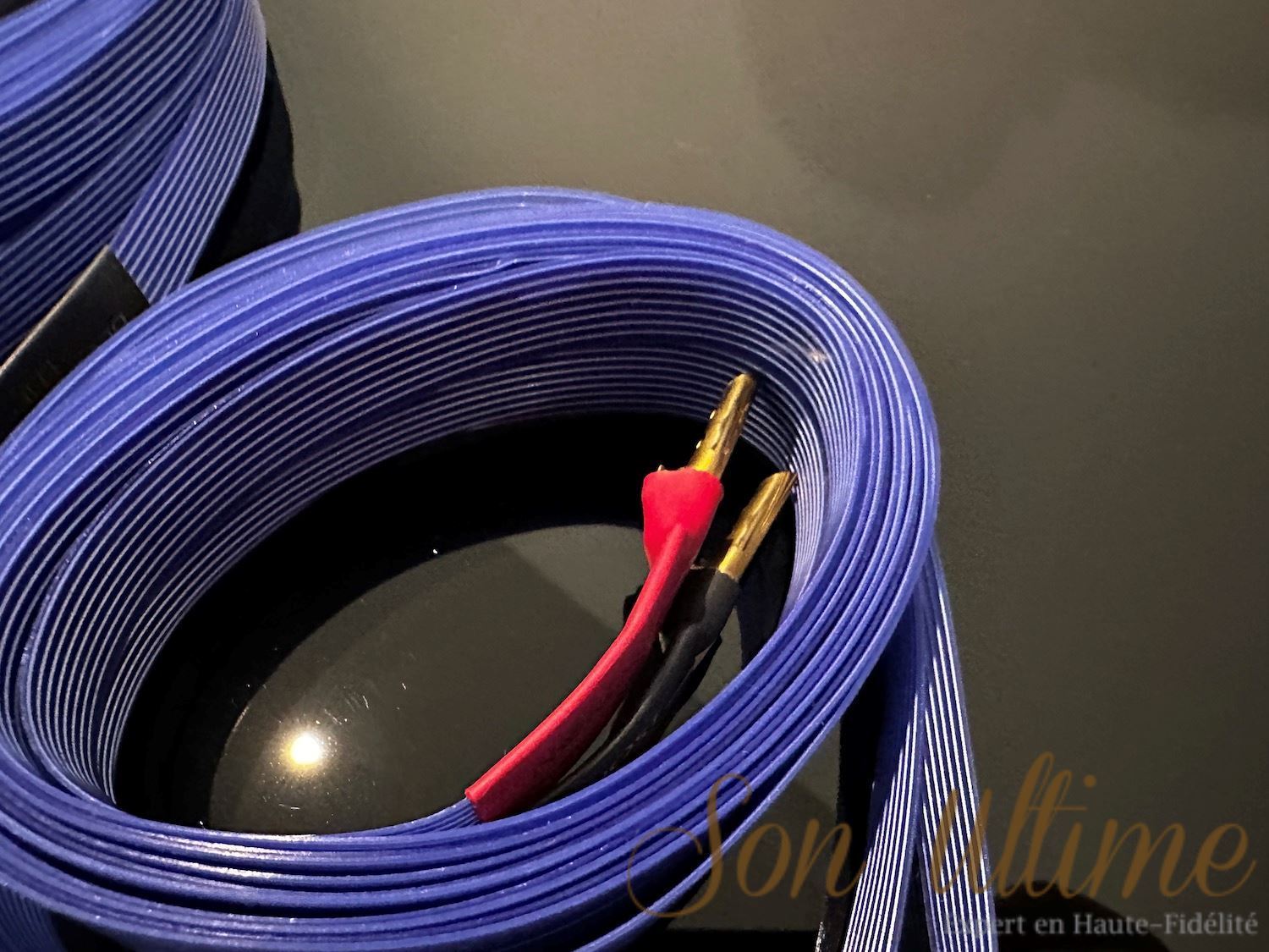 Blue Heaven Banana 3M (Used Sold)