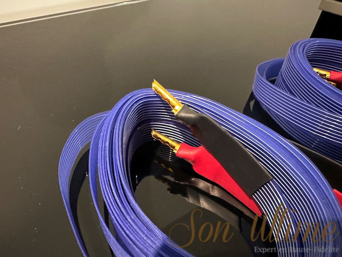 Blue Heaven Banane 3M (Occasion Vendue)