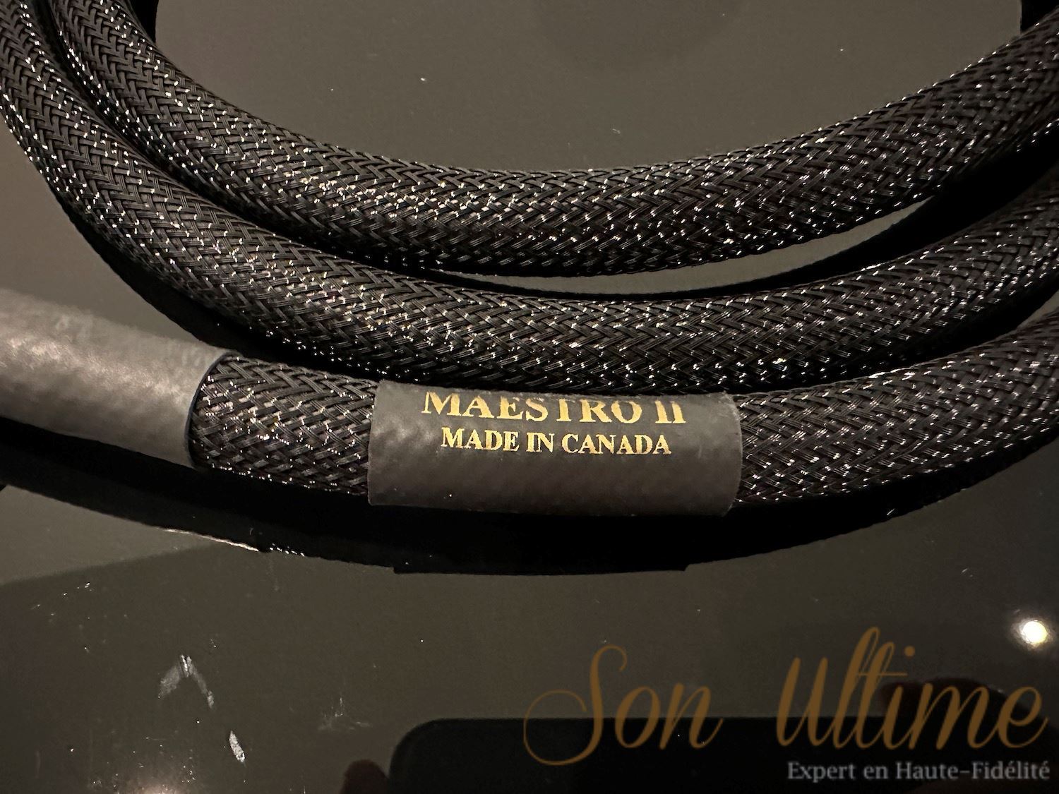 Maestro (Used Sold)