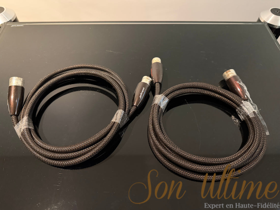 Mackenzie XLR 3M (Used)