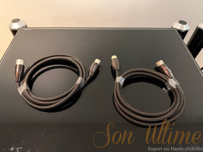 Mackenzie XLR 3M (Used)