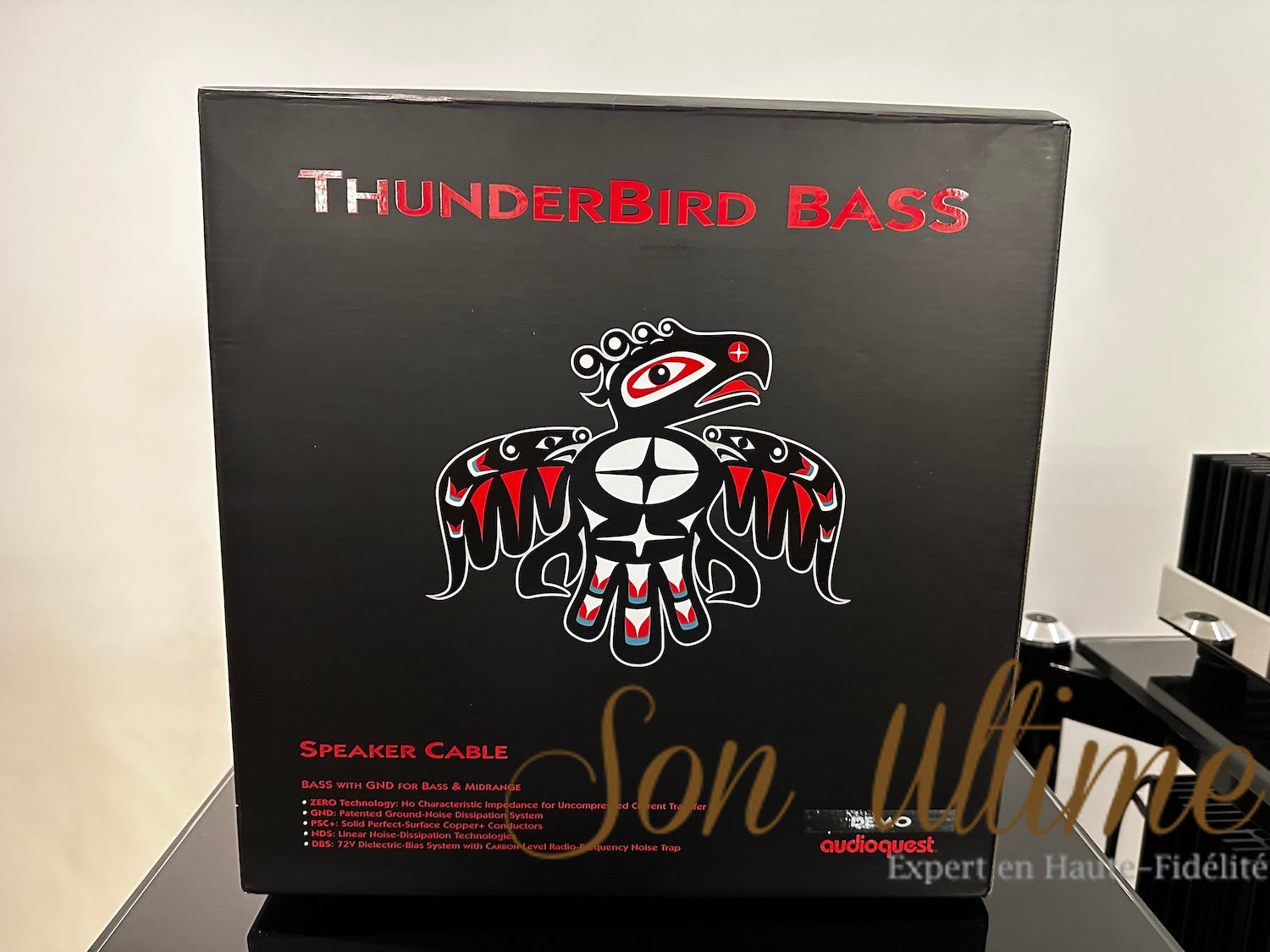 Thunderbird Bass 12 pieds (Occasion Vendue)