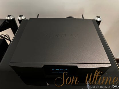 Aries G2.1 (Occasion)
