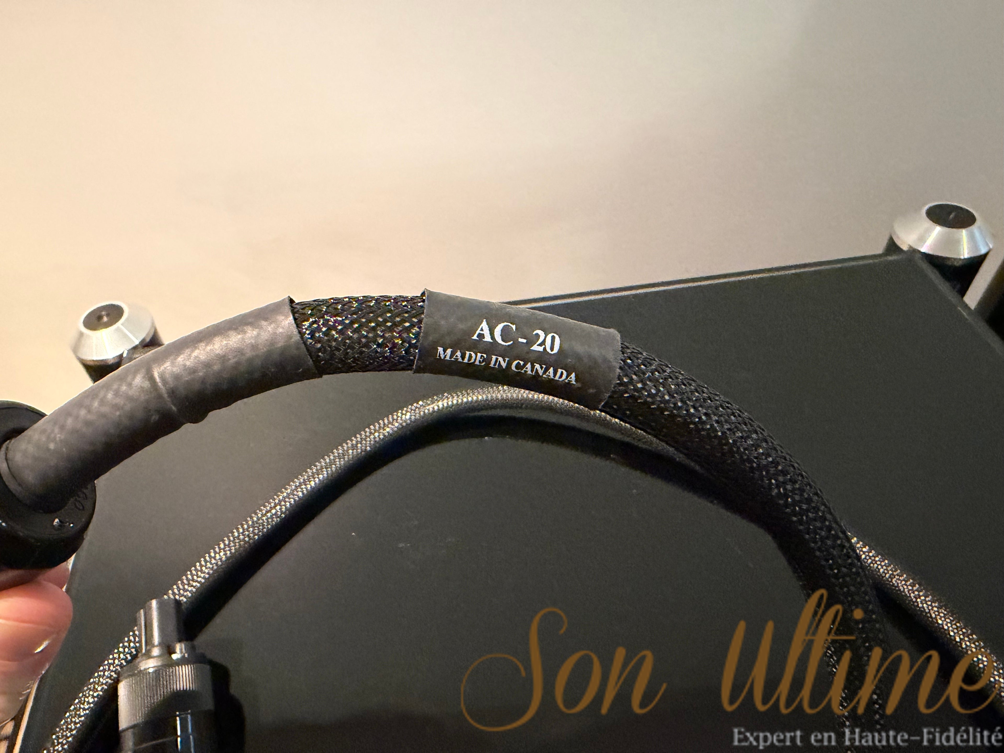 AC20 (Sold Condition)