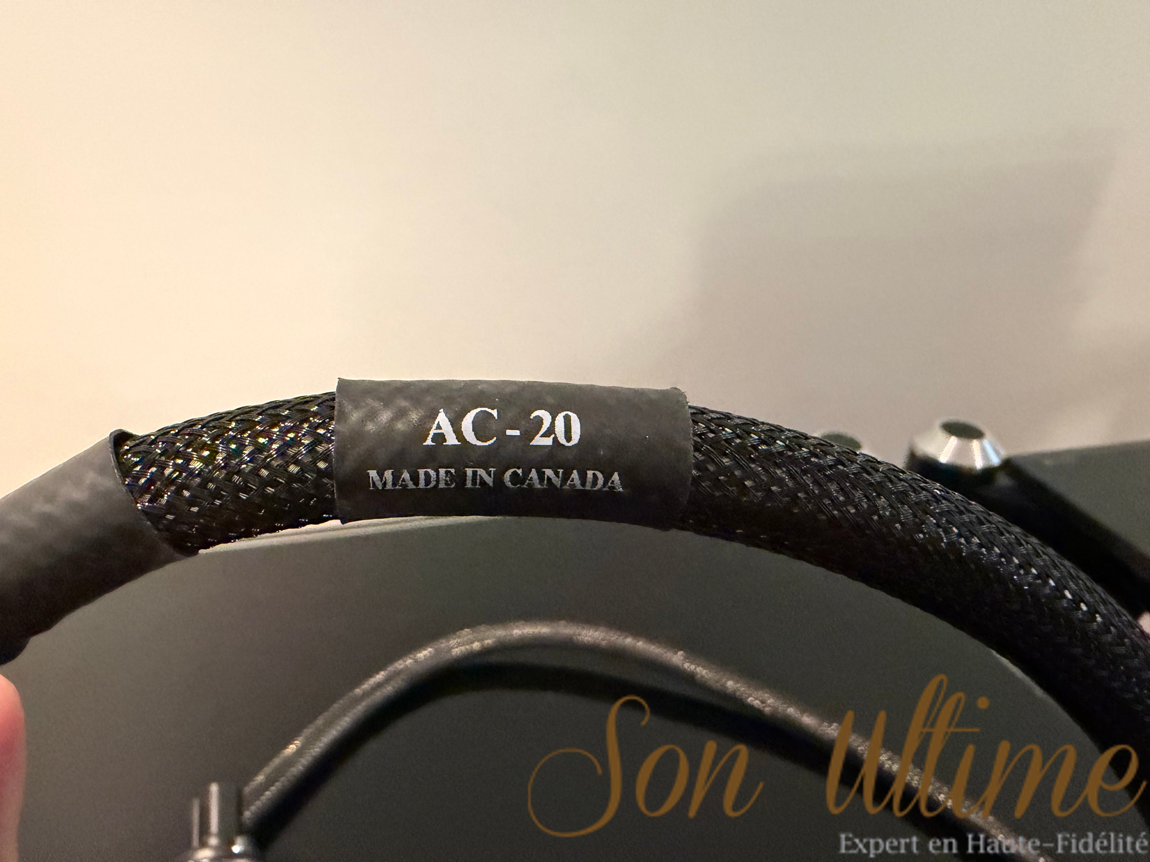 AC20 (Sold Condition)