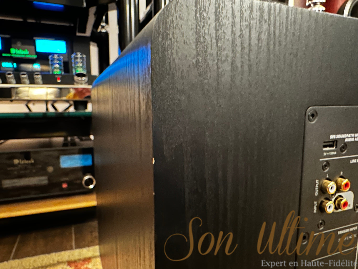 SVS SB3000 (Occasion Vendue)