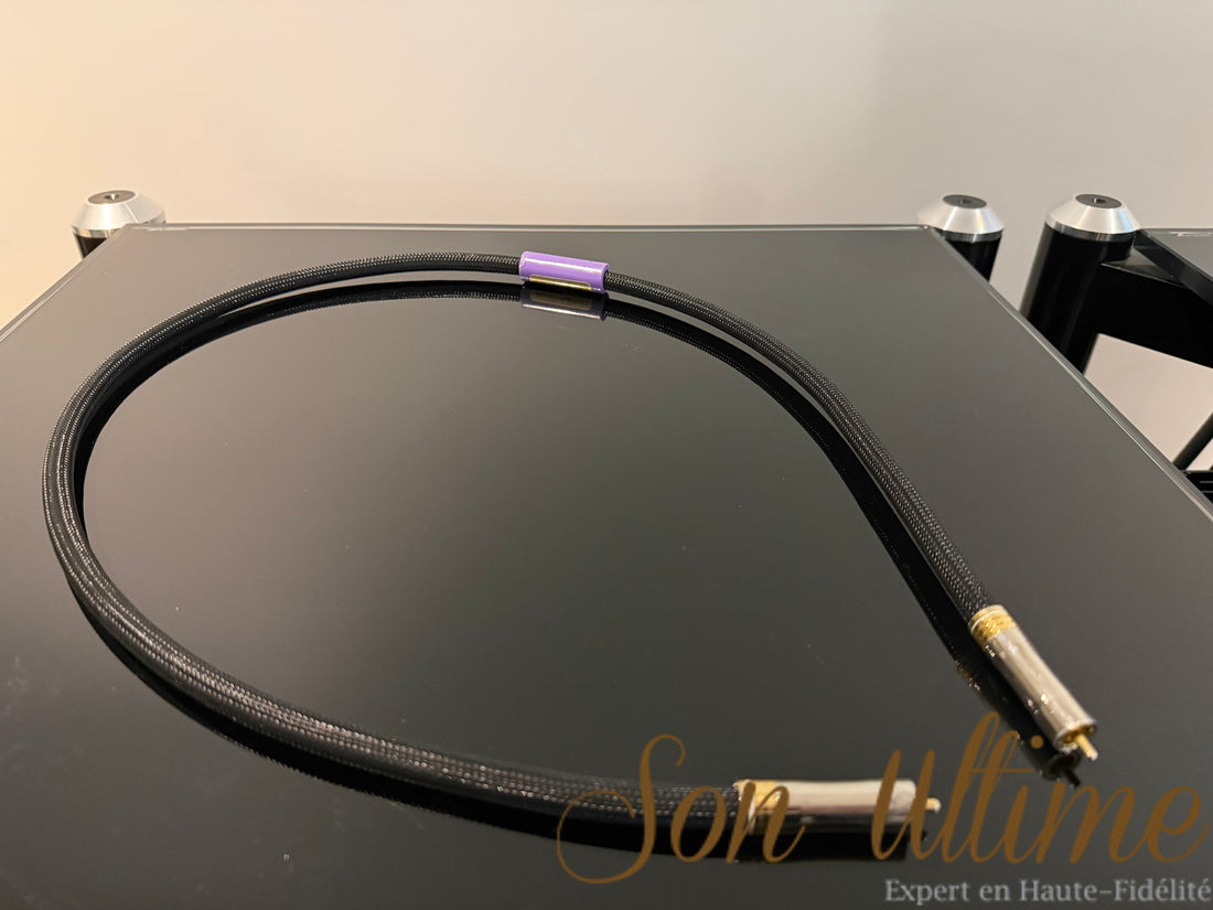 Anaconda Digital eTron SPDIF 1M (Used)