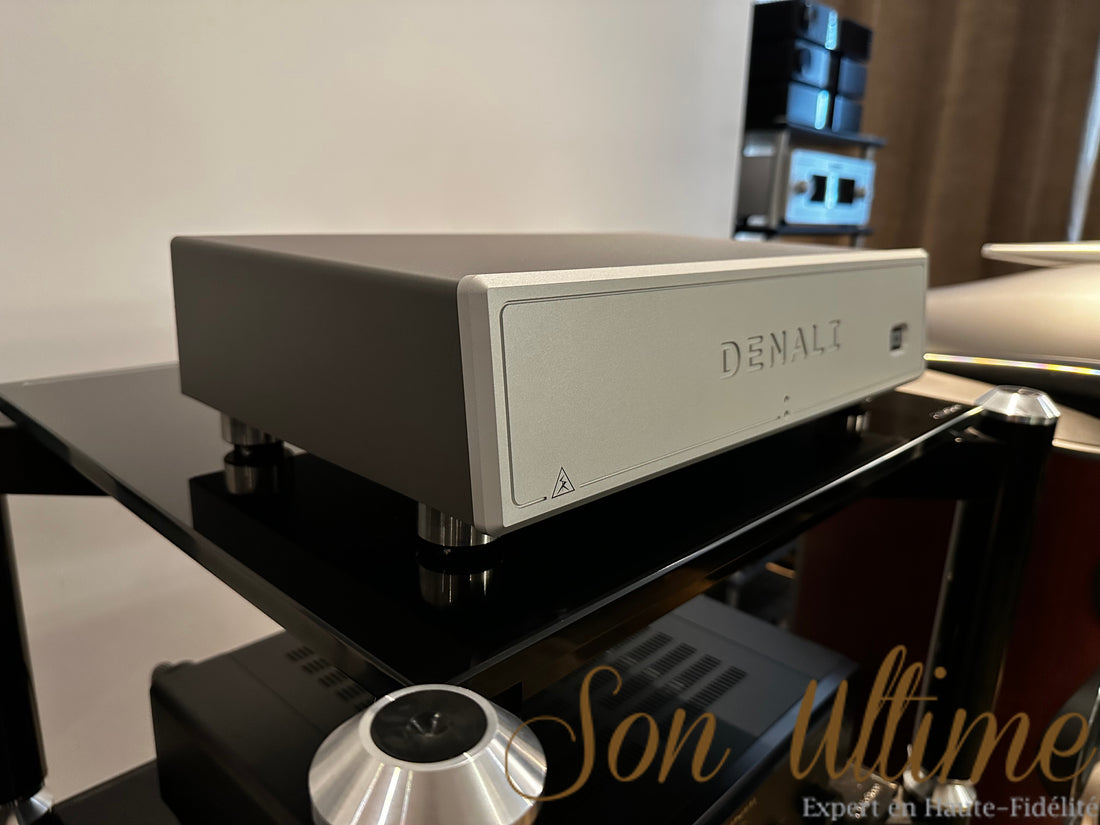 Denali 6000 v2 Argent (Occasion Vendue)