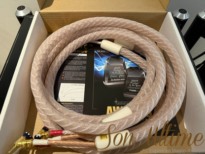 Stratos Banana Speaker Cable 2.5M (Used)