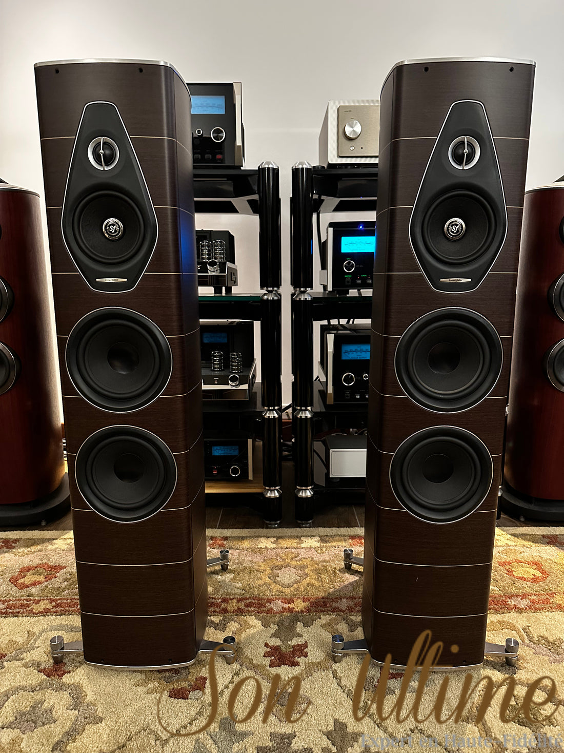 Olympica Nova III Wenge (Occasion Vendue)