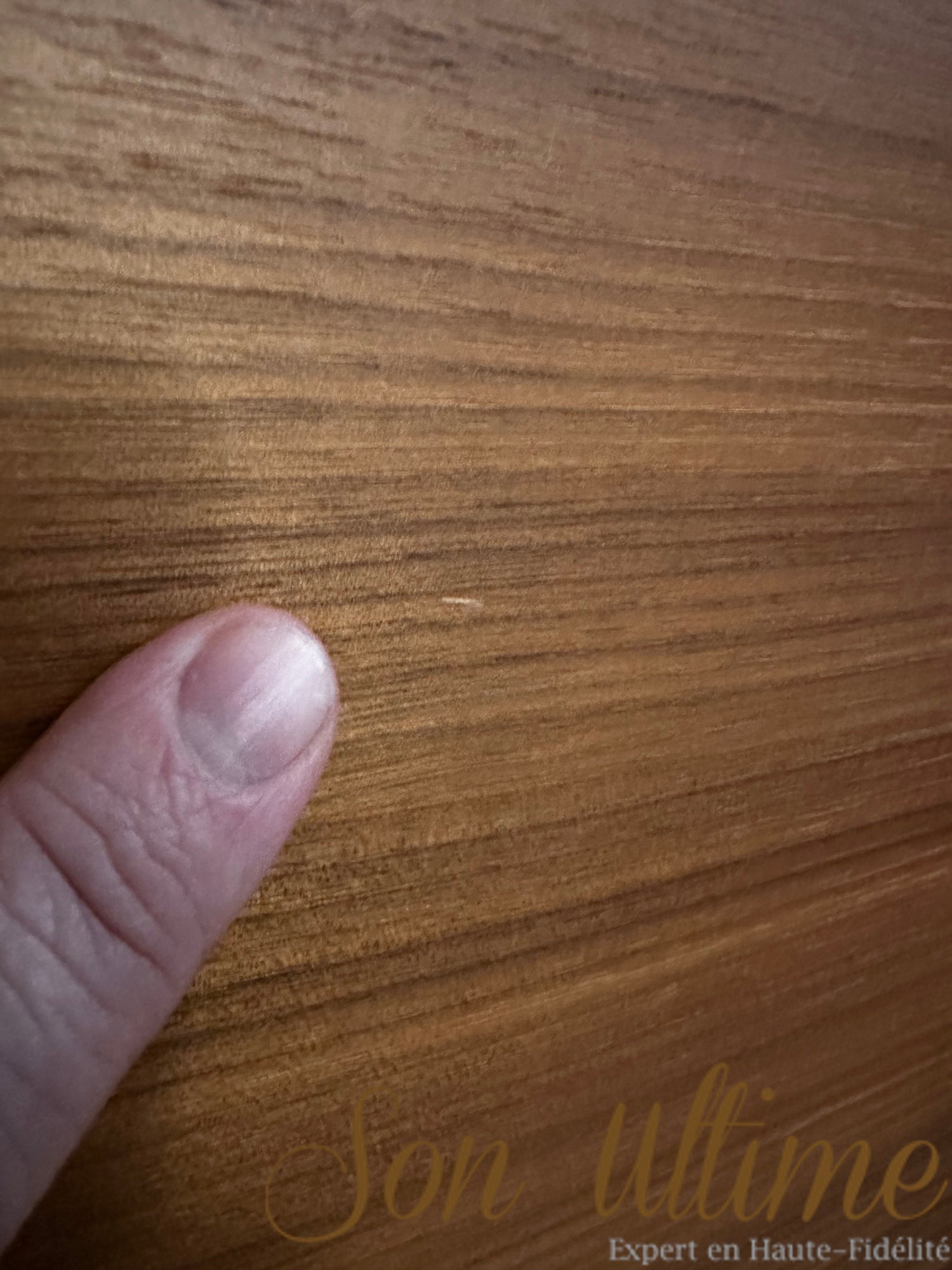 Sonetto V Walnut (Used Sold)