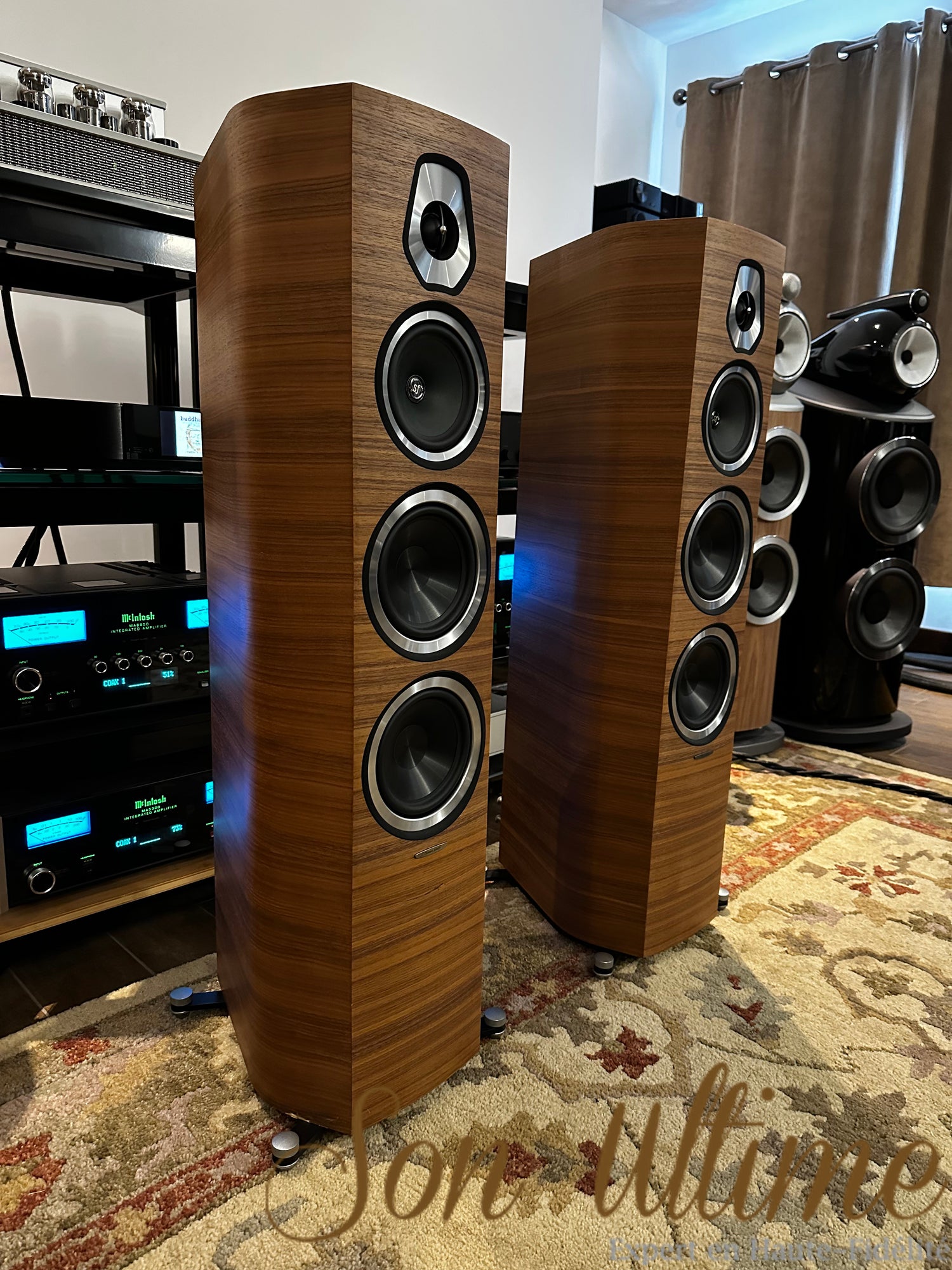 Sonetto V Walnut (Used Sold)