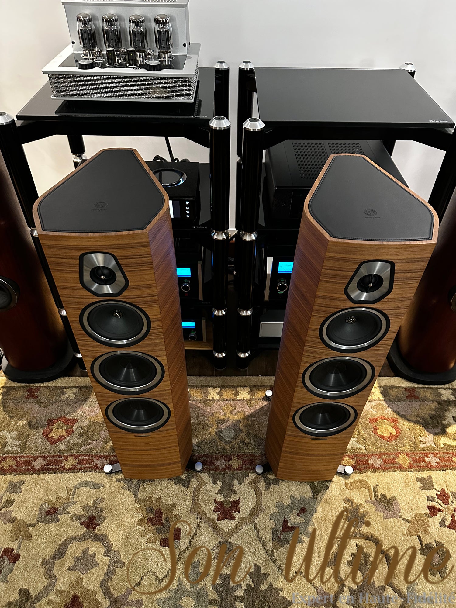 Sonetto V Walnut (Used Sold)