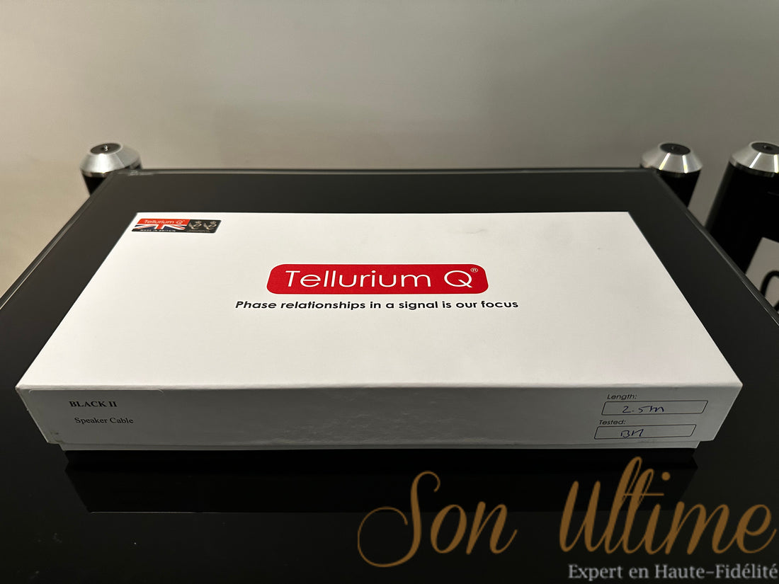 Black II Speaker Banane 2.5M (Occasion Vendue)