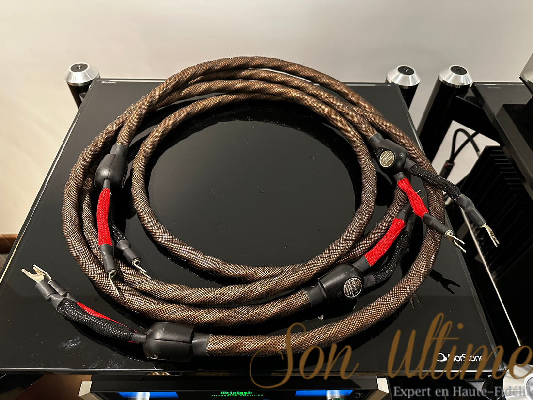 Eclipse 7 Fullrange 8 Pieds (Occasion Vendue)