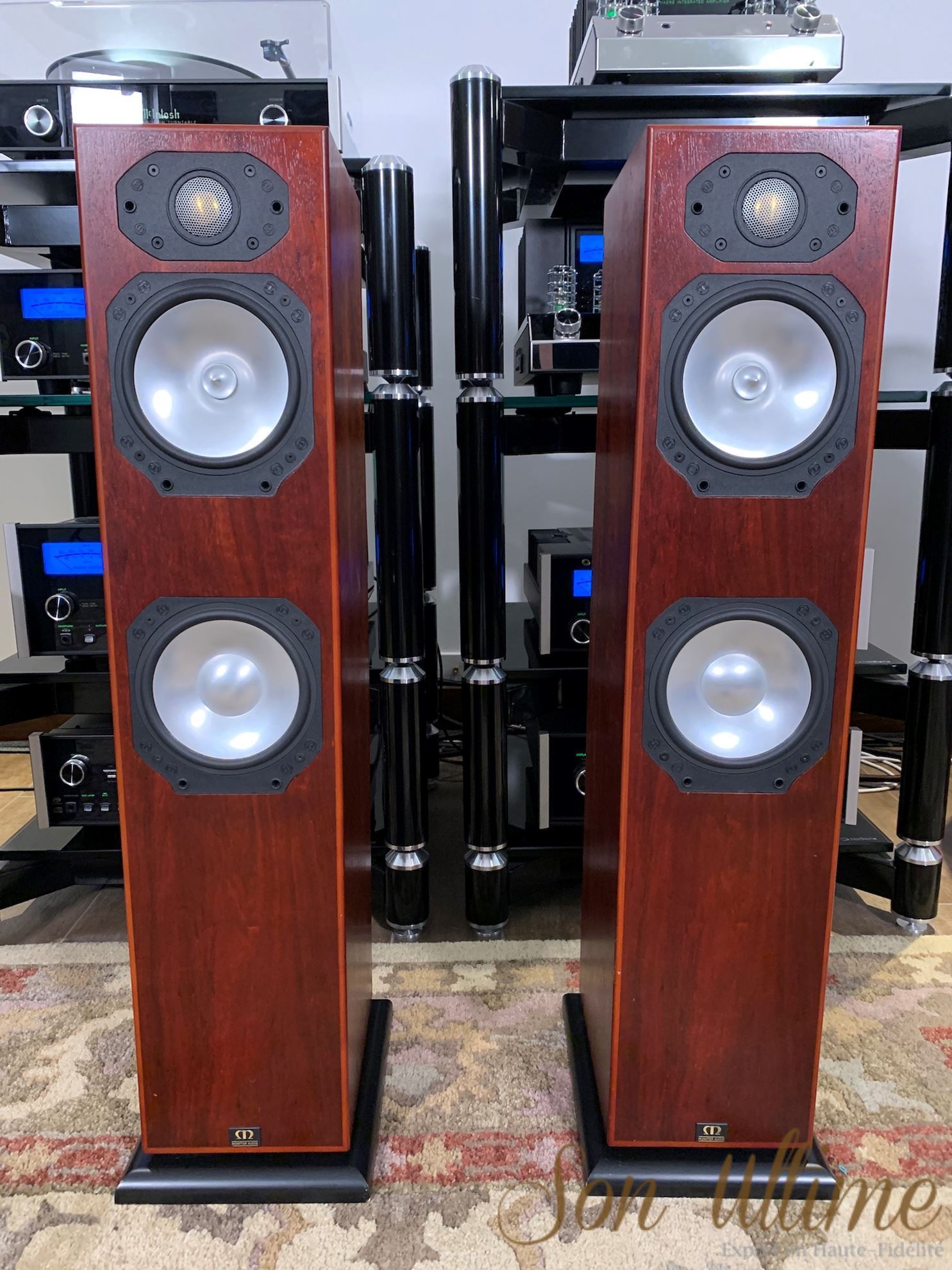 Silver S6 Walnut (Used Sold)