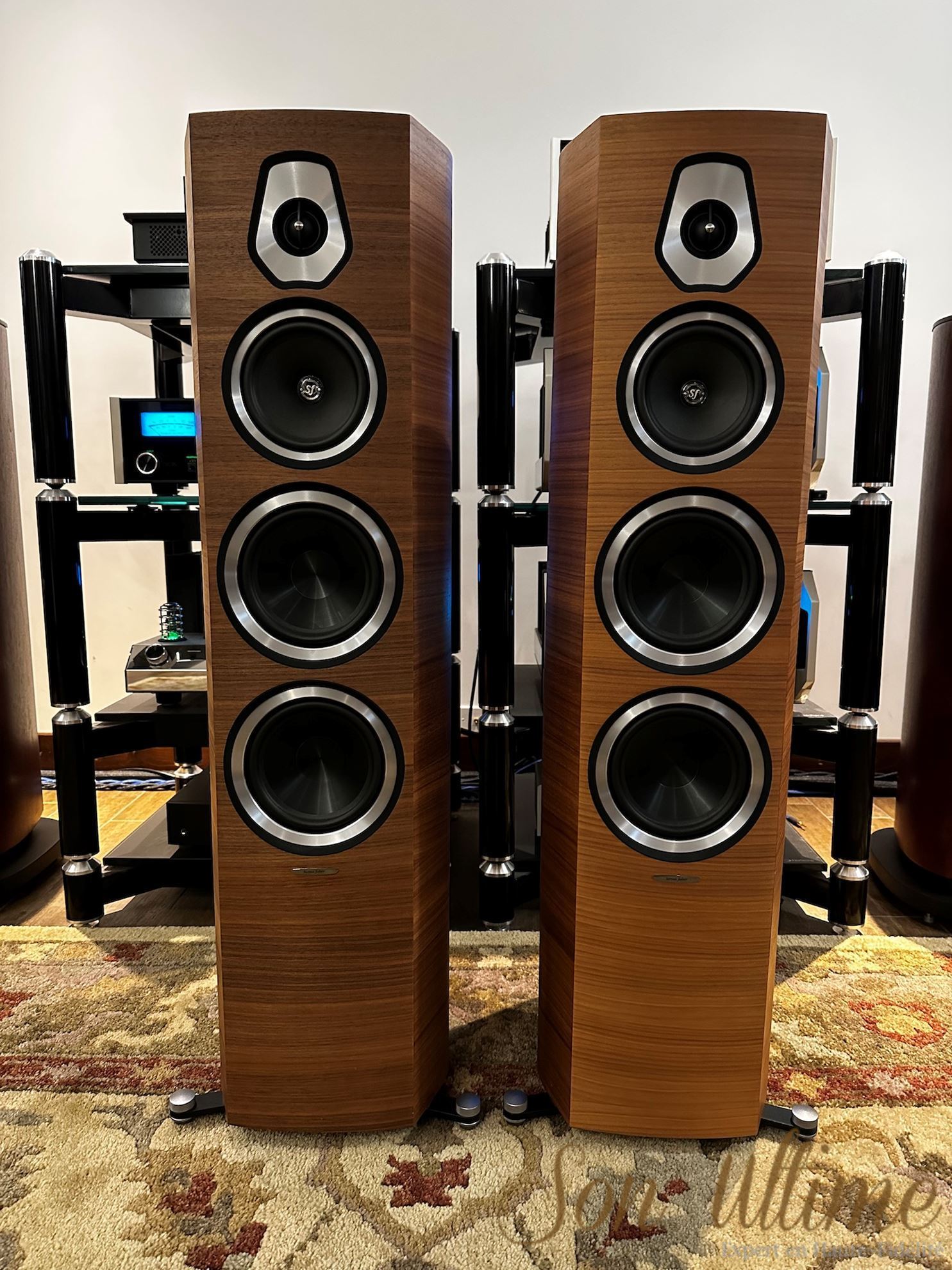 Sonetto VIII Walnut (Used Sold)