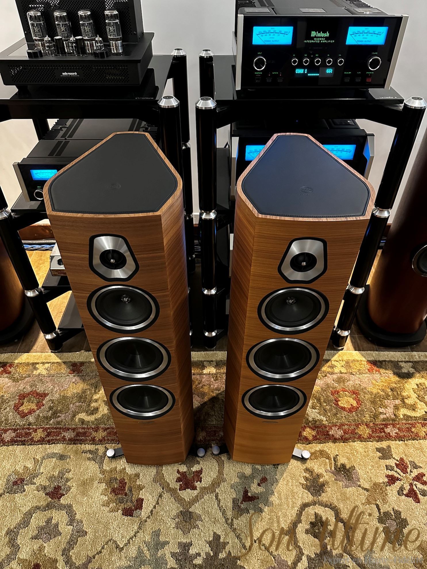 Sonetto V Walnut (Used Sold)